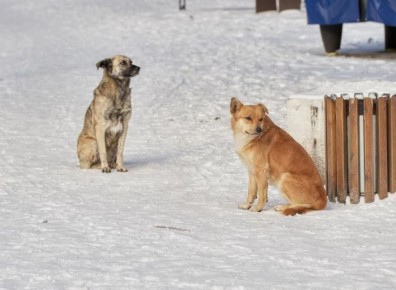 ��������� ���������� � ����� �� �������� �� ������ � ��������