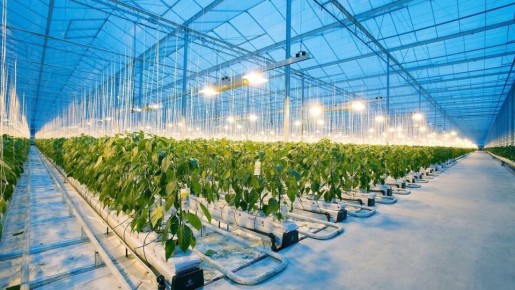 ��� ���������� ��������� ������ ������ ������ ������� ���� � ���������