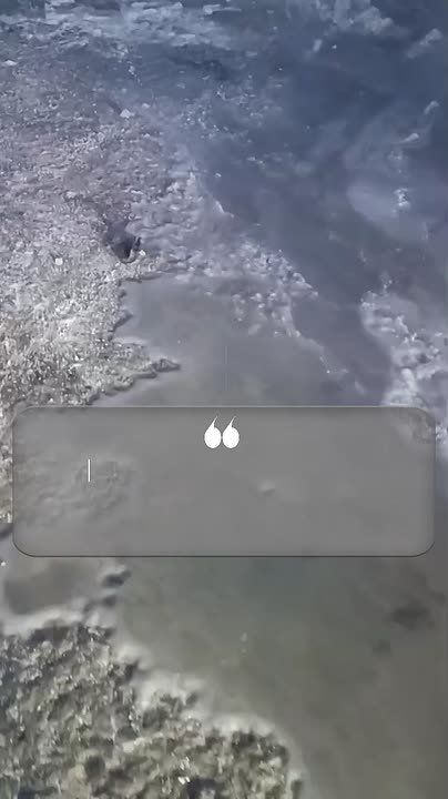 ��.�.��.: ��� ������� ������ ��������� �������� �� ������ � ������ �������