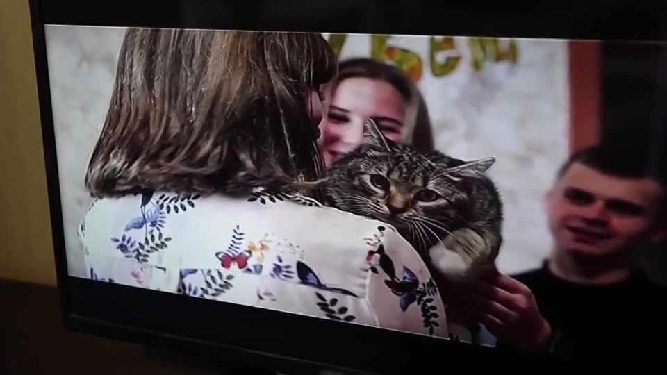 �������� ���������� - ���� �� ����� ����������� �������� ����������� ������ � ���������