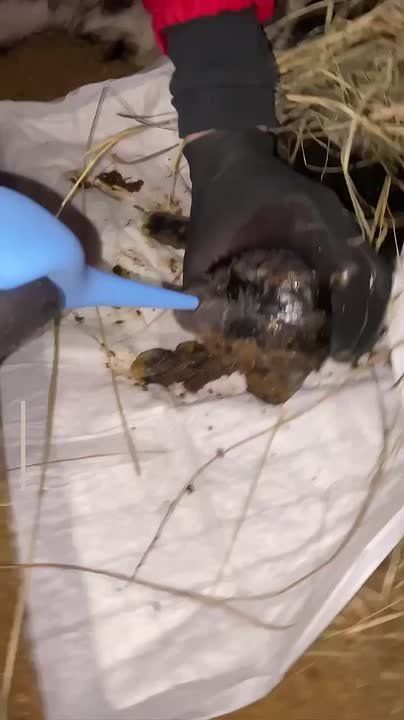 ������ ����������� ���� �������� �� ���� � ����� ��������