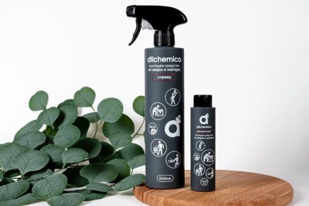 ����������� ������ ������� ������������� �� ����: ��� ������������� ��������?