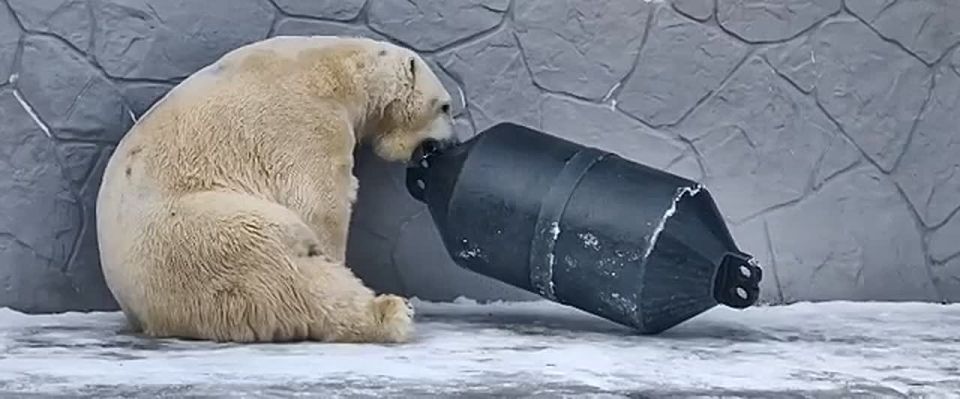 �������� ���� ����� ���� � ������� �������