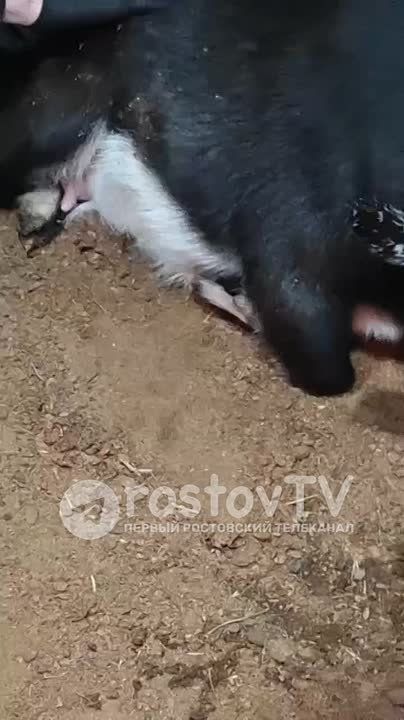 ����� ����� ����������� ������� � ����� ��������