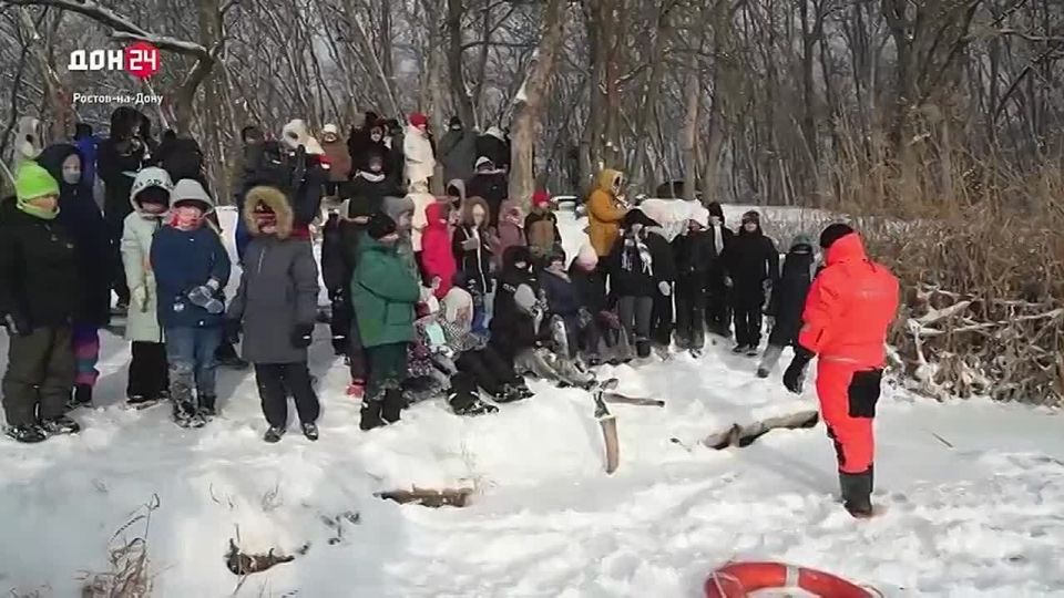 ������ �� � ����� �����: ��� ������, ���� ���������� ��� ���?