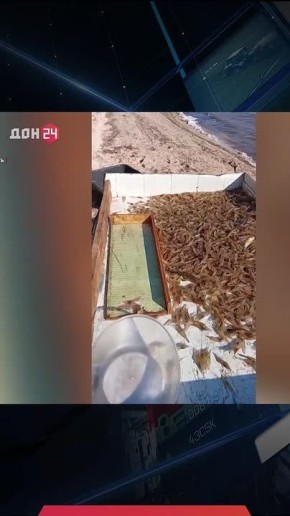 ��������� ���������� �������� �������� � �������� ���� � ������� ����