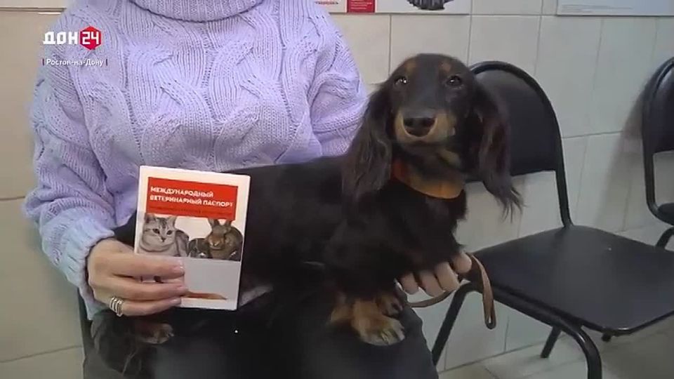 ������������ ����: ������� ������� ��������� ������������ �� ������������ ���������� ��������