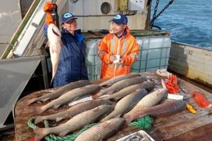 � �������� ���� ����������� ���������� ���������