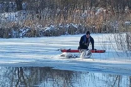 На реке Большой Несветай в Родионово-Несветайской слободе спасли лебедя, который в морозы не хотел покидать погибшую на реке подругу