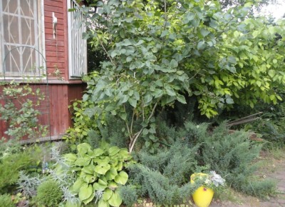 ������ ������ � ��������� ����� ��� ������� ������