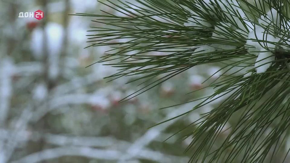 ��������� ����, ����� � ��������: ����� ������ ��� ������ �������?