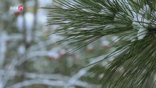 ��������� ����, ����� � ��������: ����� ������ ��� ������ �������?