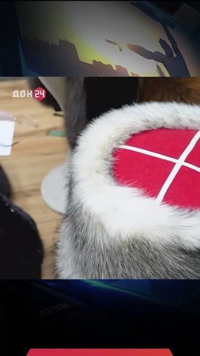 Как правильно ухаживать за меховой шапкой?