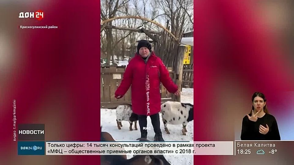 12 ������ �� 3 ��� ��������� �� ���� � ����� �������� � ���������� �������