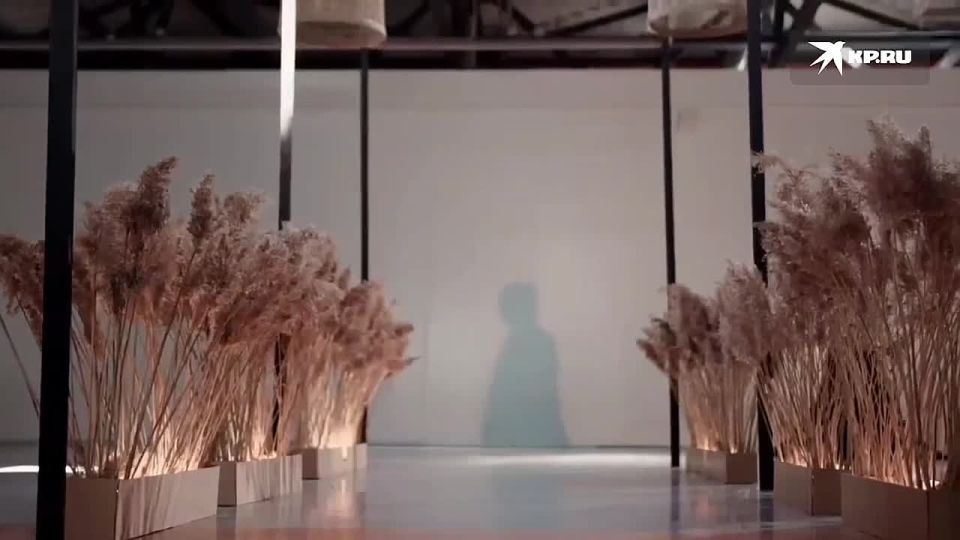 � 14 ��� ����� ����� �� �����, � � 20 ���� ����������: ����������� ������� ������������ ����� � �����, � ����� ������ ����� ������������