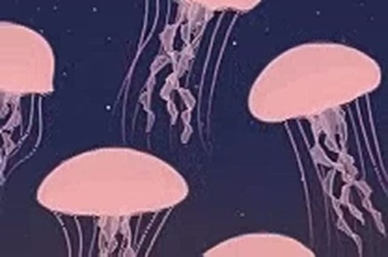 Как медузы из Азовского моря могут стать новым пищевым продуктом
