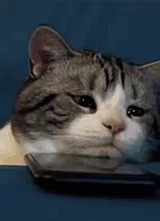 � �������-��-���� 47-������ ������� �������� ���������� 10 ����� ������, ������� � ����������� ��������� ��������