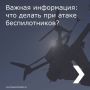 Важная информация: что делать при атаке беспилотников?