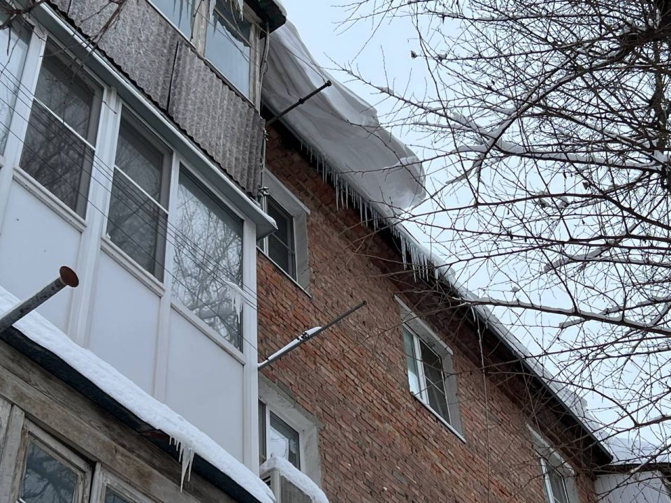 ������ ������ ����������� � ������������ �����, �������� ������������, ��� ����������� ������� ��������������� �� ����������� �����������