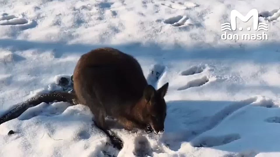 � ��� ������� ���� ����, ����� ������ ���������� � ������, ���������� �� ��������� � ������� ���� ������ � ��������