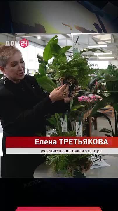 ������ ����� ��� ������� � ����