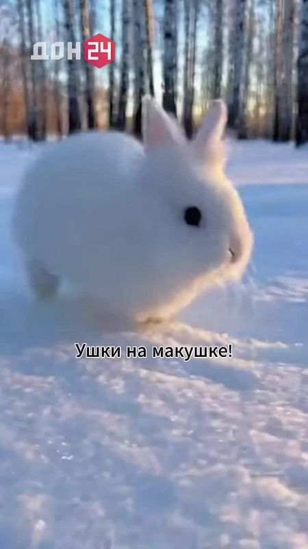 �� +2 ��: ���������� ����� � ���������� ������� � �������� ������� ������