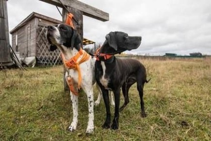 ������ ������ ����� �� ������ ��������� 72-������� ���������, ���� �� ������ ��������� �����