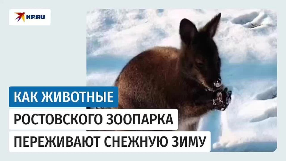 ���� ���������� �������� � ������ ������, �������� �� ��������� �������, ��� ������ ���������� ���������� �������� ��� ��� ����� �������� ��������� ������� � ����������