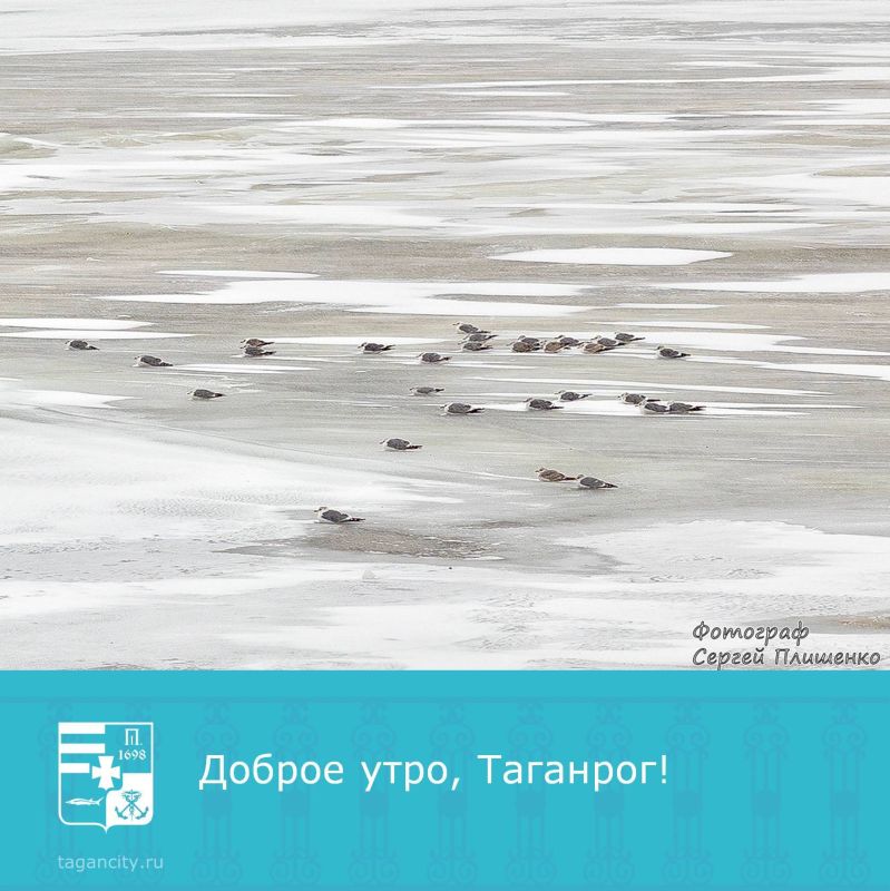 С началом нового дня!. Фото: Сергей Плишенко