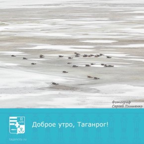 � ������� ������ ���!. ����: ������ ��������