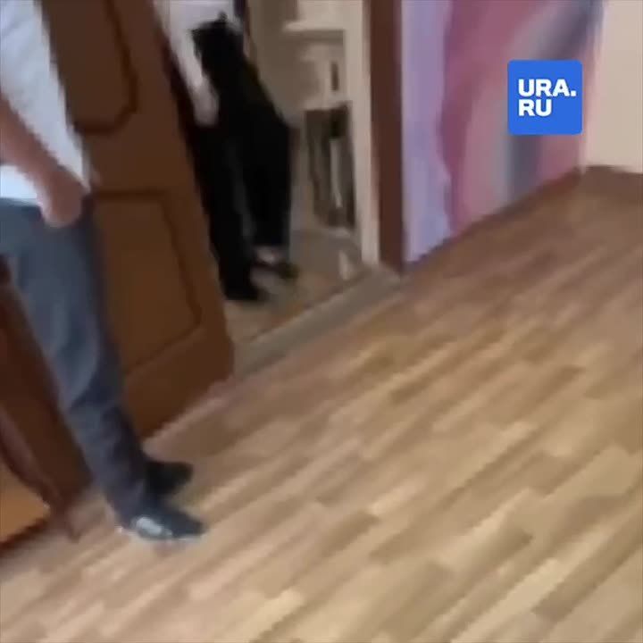 ��������� �������� �������� ����� ����� ������������� � ���������� �������