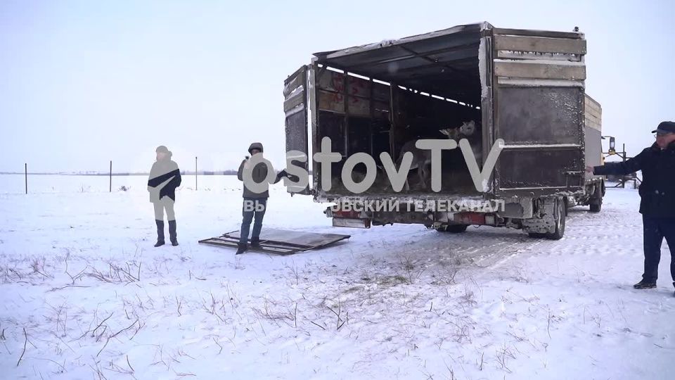 �������� ����������� ���� ��������� � �������