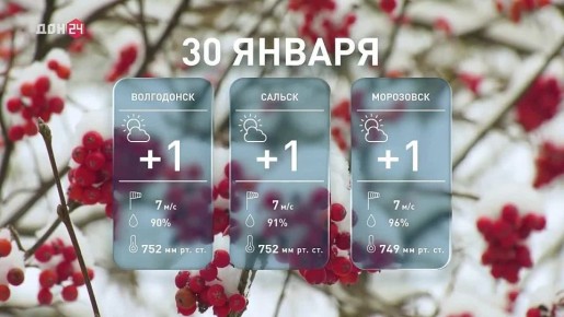 ������� ������ ����, ������ � �����: ����� ������ ������������ �������� �������?