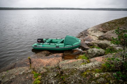 ��� ��������� ��������� �� ���-������: ������ �� �����