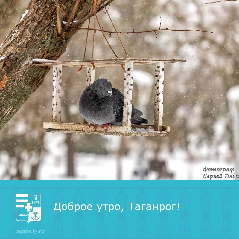 С добрым пятничным утром!. Фото: Сергей Плишенко