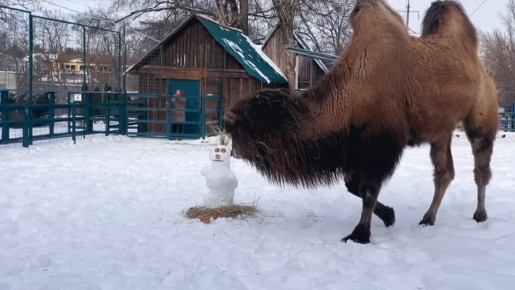 ��, �����, ��� ������ � ���� ������ ����� � �����-���������!