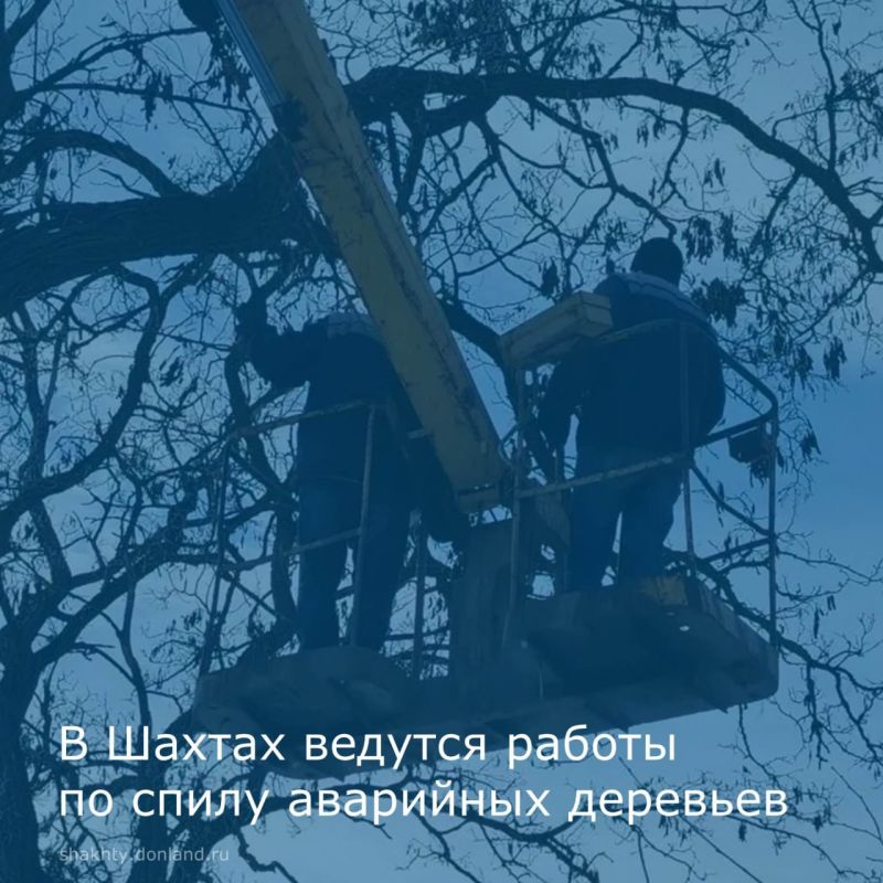 � ������: ���� ��������� ��������