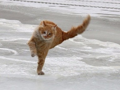 ������ ����������! ���������