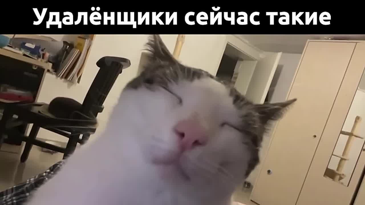 Согрелись от плюса на улице? Погнали заново мёрзнуть — на Ростовскую область надвигается снегопад