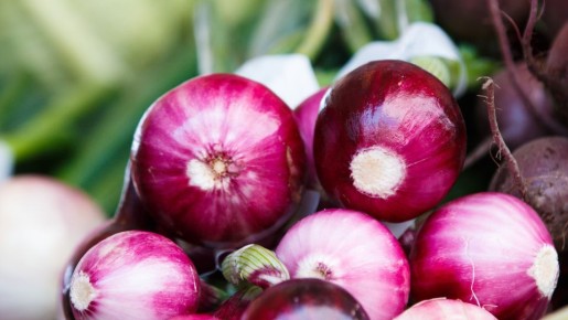 ��� � ������������ �������� ����� ������: �������� � ���� ���� �� ���� ���������