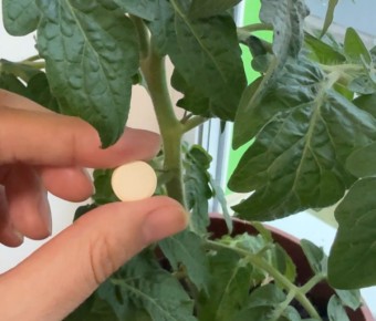 ������ �� ���������� �����: ��� �������� ��������� ������� ���� �������� ������