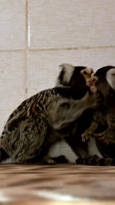 �������� ������� ��������� �� ������� � ���� �����