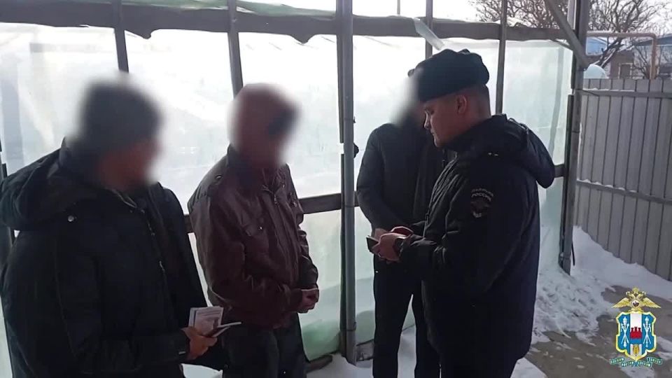 ����� �� �����: � ��������������� � ������������ ������� ������ ����������� ���������