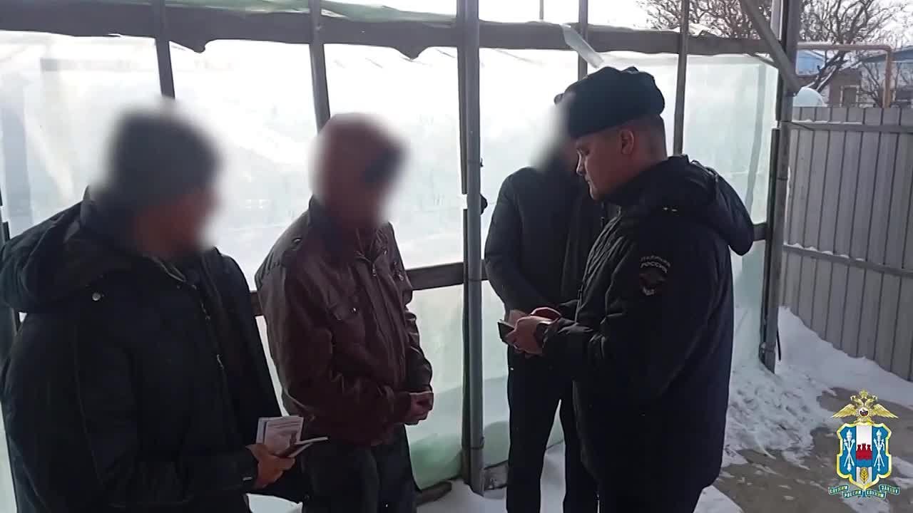 Рейды на полях: в Семикаракорском и Волгодонском районах ловили нелегальных мигрантов