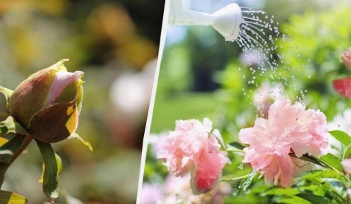 ��� ������ ������ ������: 5 �������� ������ � ������ �� �����