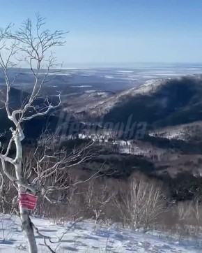 Сноубордистка сутки блуждала по сахалинской сопке без еды и связи — девушка чудом выбралась из зимней чащи