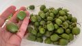 Первый урожай киви сорта 'Исайя': долгожданные ягоды с ярким вкусом