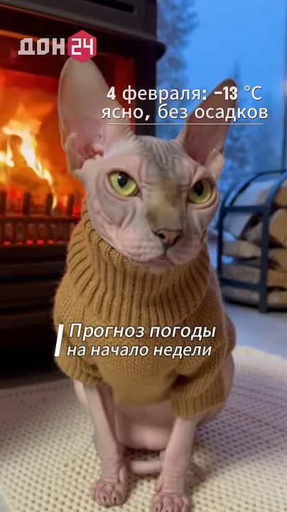 ������ �� -28 ��: ����� ������ ��� ������ �� ����� ������� ������