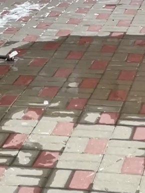 ���� �� ������ �������� �� ���������� ����� �������� � �� ��������