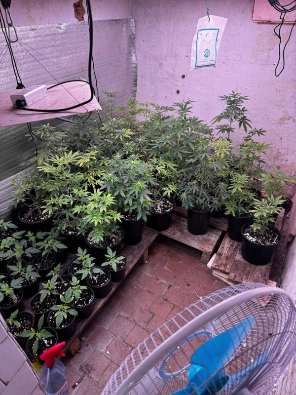 � ���������� ������� ���������������� ������� ����� ������ � ������������ � ����� ���������